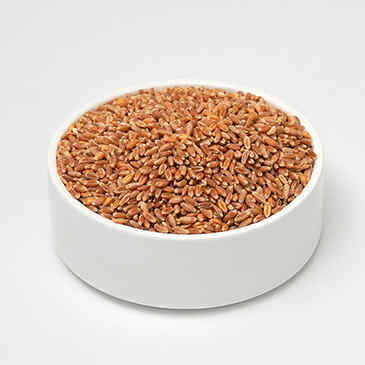 wheat (0.700 kg.)