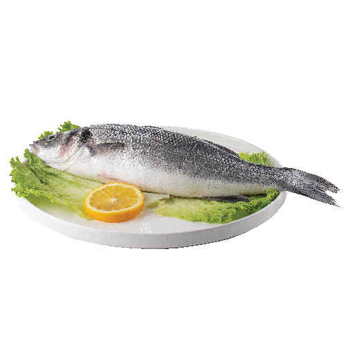 თევზი სიბასი Seabass 400/600 /500.00გრ