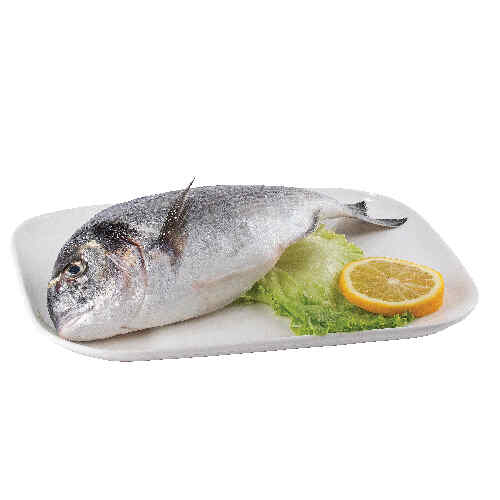 თევზი სიბრიმი  Sea bream 400/600 /500.00გრ